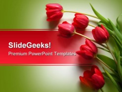 Red Tulips Nature PowerPoint Template 0610