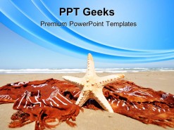 Relaxing Tropical Beach PowerPoint Templates And PowerPoint Backgrounds 0411