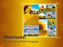 Sunflowers Collage Nature PowerPoint Template 0810