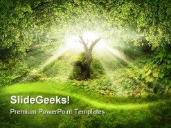 Sunlight In Forest Nature PowerPoint Template 0910
