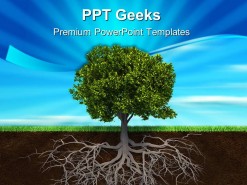 The Tree And Roots Nature PowerPoint Templates And PowerPoint Backgrounds 0411