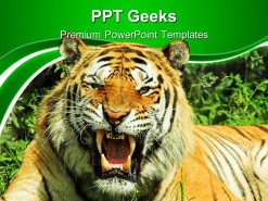 Tiger Snarl Animals PowerPoint Templates And PowerPoint Backgrounds 0411