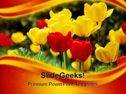 Tulips Flowers Nature PowerPoint Template 1110