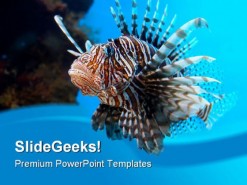 Turkey Fish Animal PowerPoint Backgrounds And Templates 1210