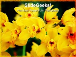 Yellow Orchids Nature PowerPoint Template 0810