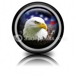 American Eagle01 PowerPoint Icon Cc