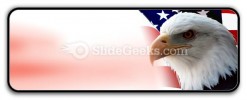 American Eagle PowerPoint Icon R