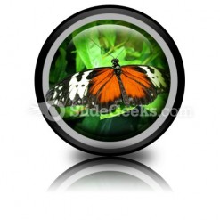 Big Butterfly PowerPoint Icon Cc