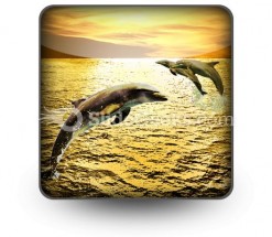 Dolphins PowerPoint Icon S