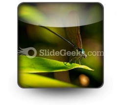 Insect PowerPoint Icon S