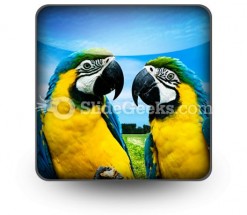 Parrots In Love PowerPoint Icon S