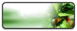 Shiny Beetles PowerPoint Icon R
