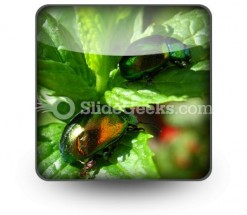 Shiny Beetles PowerPoint Icon S