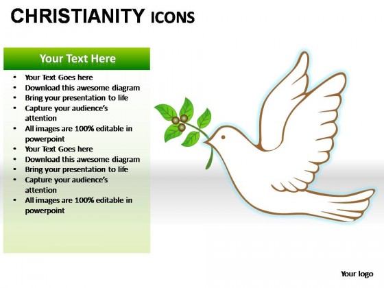 Christianity Icons PowerPoint Presentation Slides