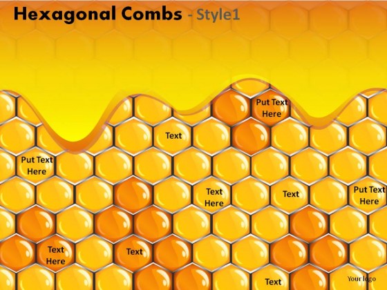 Hexagonal Combs Style 1 PowerPoint Presentation Slides