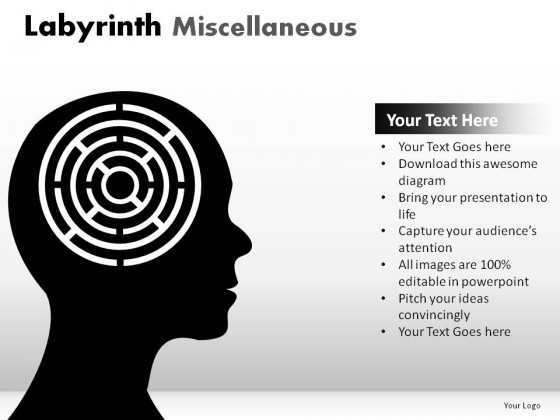 Labyrinth Misc PowerPoint Presentation Slides
