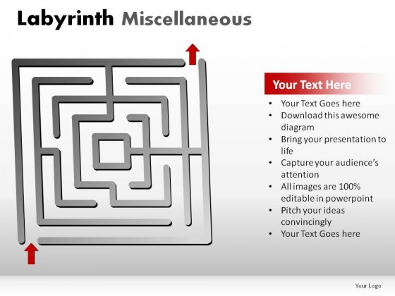 Labyrinth Misc PowerPoint Presentation Slides