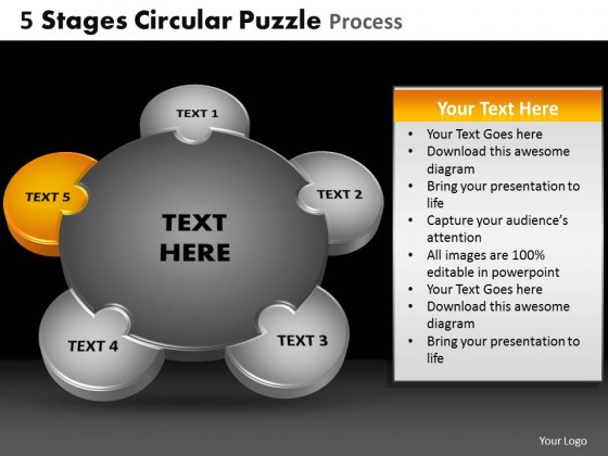PowerPoint Template Chart Circular Puzzle Process Ppt Slides
