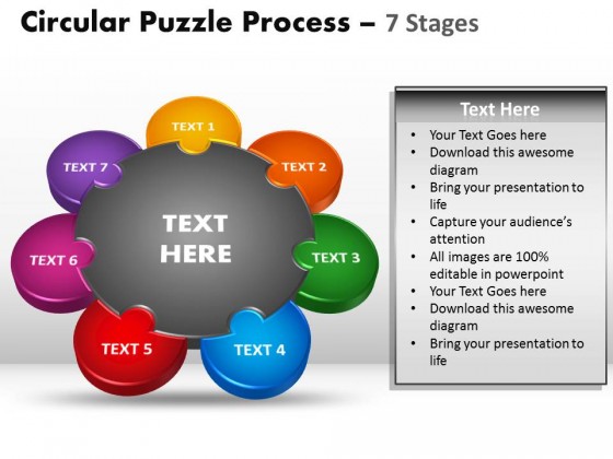 PowerPoint Template Circular Puzzle Process Ppt Slides
