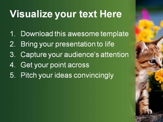 Cat Animal PowerPoint Template 0810