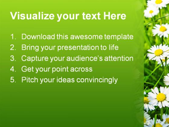 Daisies01 Beauty PowerPoint Template 1110