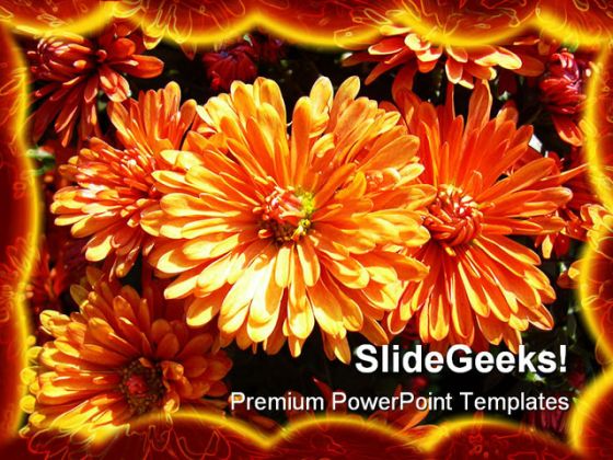 Daisies Beauty PowerPoint Template 1110