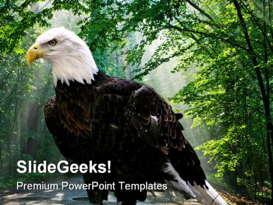 Eagle Animals PowerPoint Template 1010