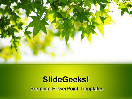 Fresh Green Leaves Nature PowerPoint Background And Template 1210