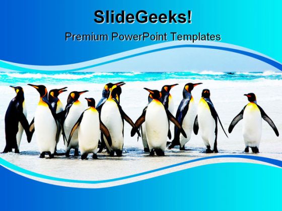 Kings Of The Beach Animals PowerPoint Template 1110