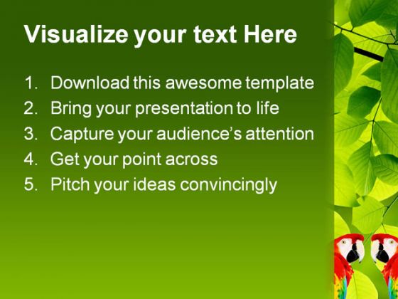 Red Macaw Animals PowerPoint Template 0910