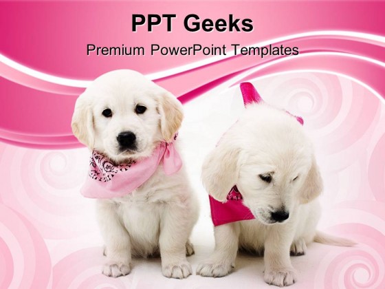 Two Puppies Animals PowerPoint Templates And PowerPoint Backgrounds 0411