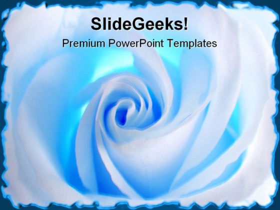 White Rose Beauty PowerPoint Template 0610