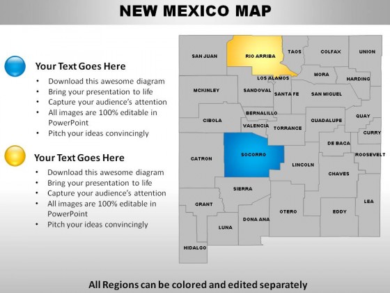 Usa New Mexico State PowerPoint Maps