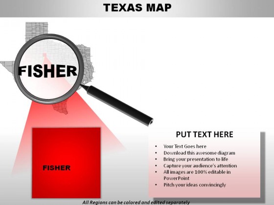 Usa Texas State PowerPoint Maps