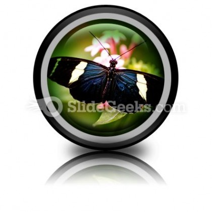 Butterfly Icon Cc