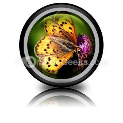 Butterfly PowerPoint Icon Cc
