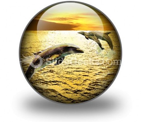 Dolphins PowerPoint Icon C