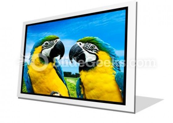 Parrots In Love PowerPoint Icon F